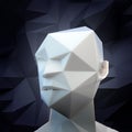 3D stylized head