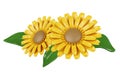 3d Sun flowers. decorative flowers. Colorful spring bouquet. Floral arrangement garland. icon isolated on white Royalty Free Stock Photo