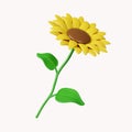 3d Sun flowers .icon isolated on white background. 3d rendering illustration. Clipping path. Royalty Free Stock Photo