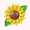 3d Sun flowers .icon isolated on white background. 3d rendering illustration. Clipping path. Royalty Free Stock Photo