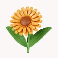 3d Sun flowers .icon isolated on white background. 3d rendering illustration. Clipping path. Royalty Free Stock Photo