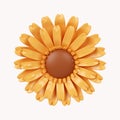 3d Sun flowers .icon isolated on white background. 3d rendering illustration. Clipping path. Royalty Free Stock Photo