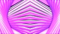 3D symmetrical hypnotic pattern of lines. Motion. Curved 3d lines move with hypnotic effect. Curved symmetrical lines