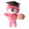 3d teddy bear with pink fur wearing a graduate mortar board and holding a human brain, 3d illustration