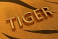 3D text with the word Tiger meaning the symbol of 2022 Royalty Free Stock Photo