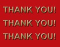 3D thank you! thank you! thank you! sign