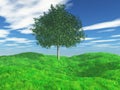 3D tree in grassy landscape Royalty Free Stock Photo