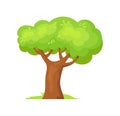 2D tree. Species green forest trees, vector design Royalty Free Stock Photo