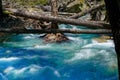 D`Urville river, Nelson Lakes National Park, New Zealand