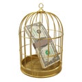 3d US Dollars in gold birdcage