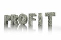 3D USD PROFIT word