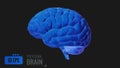 Blue wireframe brain on dark BG