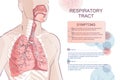 human Respiratory System, lungs, alveoli. Inside larynx nasal throttle anatomy. Man body parts. Hand drown vector Royalty Free Stock Photo