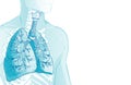 3d vector of the human Respiratory System, lungs, alveoli. Inside larynx nasal throttle anatomy. Man body parts. Hand Royalty Free Stock Photo