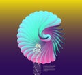 3D vector illustration with seashell nautilus. Object with smooth shape.