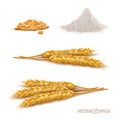 3d vector realistic wheat set, a bunch of ears, falling grains, a slide of flour Royalty Free Stock Photo