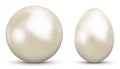 3D Vector Sphere and Egg - Side by Side - Textured with Pearl ,