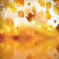 2d vectoral autumn and yellow leaf picture