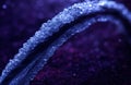 3D View of Chromatin Fiber Structure with Illuminated Nucleosomes