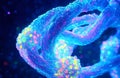 3D Visualization of Chromatin Fiber and Nucleosome Organization