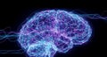 3D visualization Glowing machine learning system creates complex circuit brain structure using neon Royalty Free Stock Photo