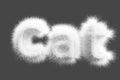 3D visualization. Lettering cat from white wool on a gray background.