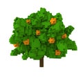 3d voxel orange tre