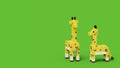 3D voxel rendering of Couple Giraffes isolated on Green Background with Copy Space Royalty Free Stock Photo