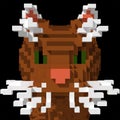 3d voxel tabby cat face