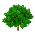 3d voxel tree Royalty Free Stock Photo