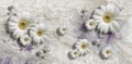 3d wallpaper, chamomiles and pearls on marble background