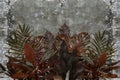 3d wallpaper, leaves of houseplants on concrete wall textured background