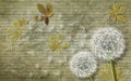 3d wallpaper texture, dandelion on limestone background.