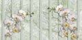 3d wallpaper, white orchids on pale green marble background