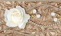 3D wallpaper, white rose, Jewelry and pearls on beige silk background