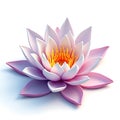 3D Water Lily isolated on a white background Royalty Free Stock Photo