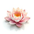 3D Water Lily isolated on a white background Royalty Free Stock Photo