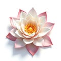 3D Water Lily isolated on a white background Royalty Free Stock Photo