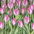 3D watercolor flower floral pink tulip garden flowerbed nature pattern background texture