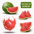3d watermelon. Water melon slice and whole, summer red juice food, natural berry logo, piece of fruit in splash Royalty Free Stock Photo
