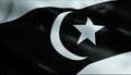 3D Waving Malaysia State Flag of Terengganu Closeup View