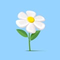 3d white daisy or chamomille flower with leaves on blue backdrop