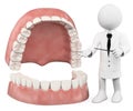 3D white people. Professor showing a denture Royalty Free Stock Photo