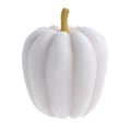 3d white realistic pumpkin rendering icon in cartoon style. Design element for Thanksgiving Day holiday autumn