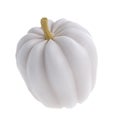 3d white realistic pumpkin rendering icon in cartoon style. Design element for Thanksgiving Day holiday autumn