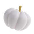 3d white realistic pumpkin rendering icon in cartoon style. Design element for Thanksgiving Day holiday autumn