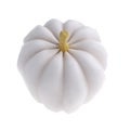 3d white realistic pumpkin rendering icon in cartoon style. Design element for Thanksgiving Day holiday autumn