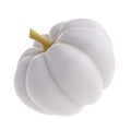 3d white realistic pumpkin rendering icon in cartoon style. Design element for Thanksgiving Day holiday autumn