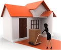 3d woman drive handtruck with box into house concept