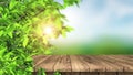 3D wooden table and leaves against a defocussed landscape background Royalty Free Stock Photo